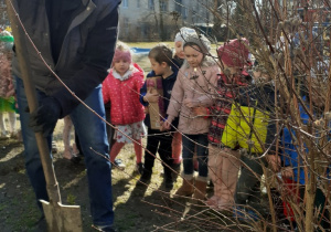 Pan Jacek pomaga dzieciom posadzić wygrana roślinkę