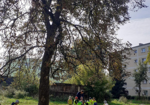 Dzieci w kamizelkach odblaskowych na spacerze zbierają kasztany
