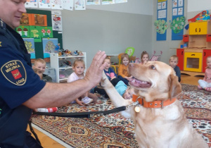 Pies i jego właściciel pokazują dzieciom sztuczki