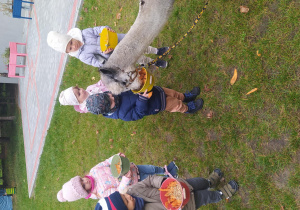 Dzieci karmią alpaki smakołykami z wiaderek