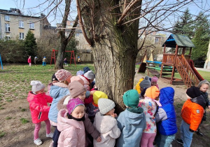 Dzieci wykonuja zadanie - przytulają się do drzewa