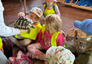Dzieci oglądaja z bliska i dotykają żółwia