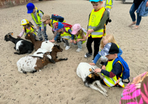 Dzieci w mini ZOO, słuchają informacji o kozach i królikach, głaszczą zwierzątka