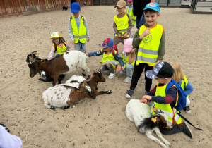 Dzieci w mini ZOO, słuchają informacji o kozach i królikach, głaszczą zwierzątka