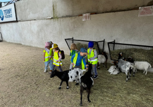 Dzieci w mini ZOO głaszczą kozy