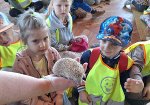 Dzieci z bliska oglądają i dotykają jeża