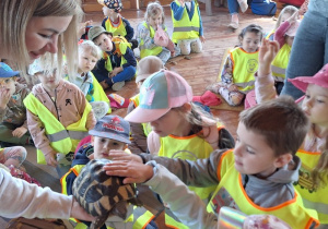Dzieci z bliska oglądają i dotykają żółwia