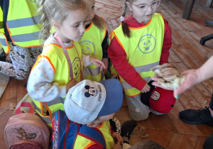 Dzieci z bliska oglądają i dotykają ślimaka