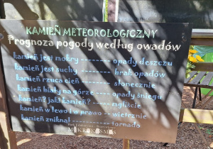 Zdjęcie tablicy " Prognoza pogody według owadów"