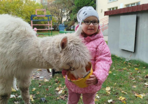 Dziecko karmi aplakę marchewkami z wiaderka