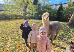 Dzieci spacerują z alpakami po ogrodzie