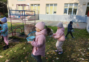 Dzieci karmią alpaki marchewkami z wiaderka