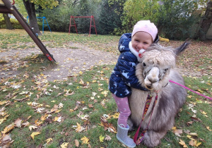 Dziecko przytula alpakę