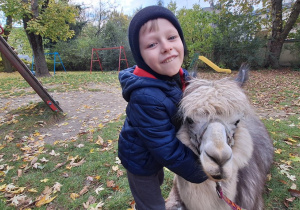 Dziecko przytula alpakę