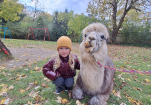 Dziecko przytula alpakę
