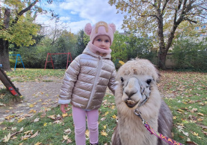 Dziecko przytula alpakę