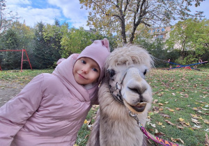 Dziecko przytula alpakę