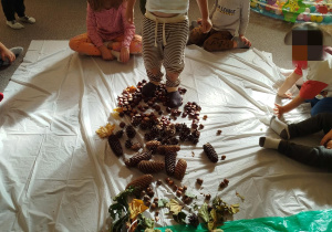 Chłopiec idzie po ścieżce sensorycznej