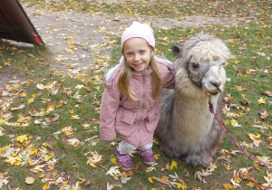 Dziecko przytula alpakę