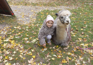 Dziecko przytula alpakę