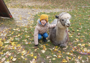 Dziecko przytula alpakę