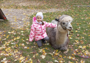 Dziecko przytula alpakę