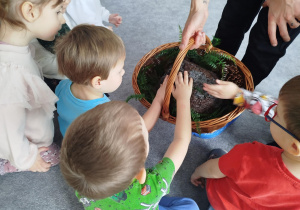 Dzieci dotykają makiety kopca mrówek