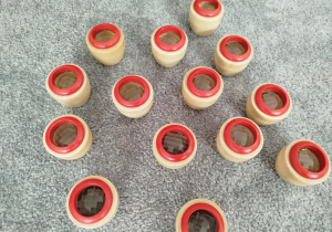 Szkiełka obrazujące jak widzi mrówka