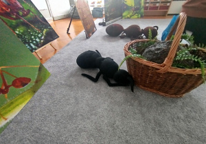 Pomoce dydaktyczne przyniesione przez prowadzącego