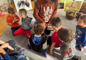 Dzieci oglądają żywe mrówki w terrarium