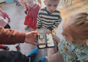 Dzieci oglądają żywe mrówki w terrarium