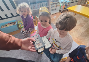 Dzieci oglądają żywe mrówki w terrarium