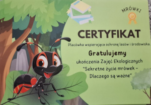 Certyfikat otrzymany na koniec zajęć