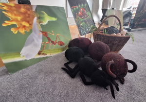 Pomoce dydaktyczne przyniesione przez prowadzącego