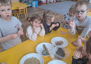 Dzieci oglądają przyniesione ziarenka z domu do karmienia ptaków