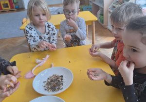 Dzieci oglądają przyniesione ziarenka z domu do karmienia ptaków i próbują ziarna słonecznika