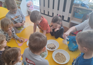 Dzieci oglądają przyniesione ziarenka z domu do karmienia ptaków