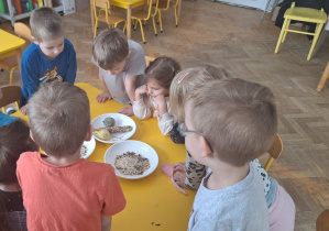 Dzieci oglądają przyniesione ziarenka z domu do karmienia ptaków