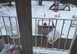 Powiesiliśmy nasze karmniki i kuleczki na barierce za oknem. Czekamy na ptaki.