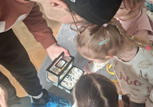 Prowadzący pokazuje dzieciom terrarium z mrówkami