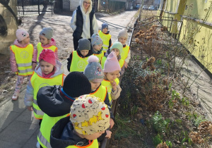 Dzieci zaglądają do kolejnego ogródka i dostrzegają kolejne oznaki wiosny