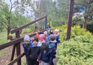 Dzieci zwiedzają park mikrokosmosu - utrwalenie wiedzy