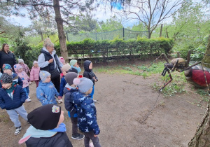 Dzieci zwiedzają park mikrokosmosu - utrwalenie wiedzy