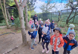 Dzieci zwiedzają park mikrokosmosu - utrwalenie wiedzy