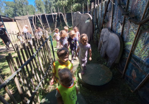 Dzieci przechodzą przez drewniany tor przeszkód